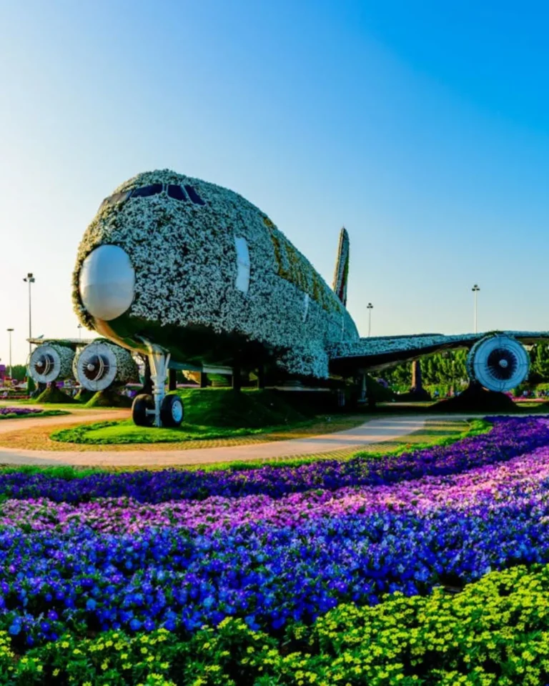 miracle garden dubai