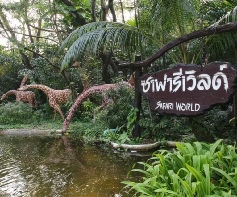 Safari Park Thailand